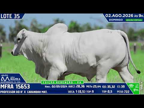 LOTE 35