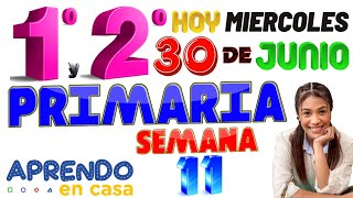 APRENDO EN CASA 1 Y 2 PRIMARIA HOY MIERCOLES 30 JUNIO PRIMERO SEGUNDO GRADO SEMANA 11 TVPERU 1RO 2DO