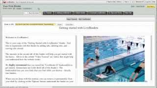 Overview Of Tabs And Subtabs In Livebinders.mp4