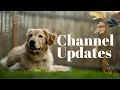 Channel Updates