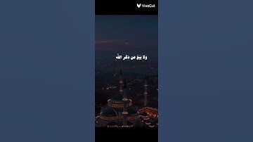القارئ/عمر ضياء الدين.🌷