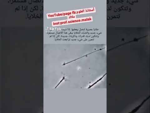 سبحان الله انظر كيف تتصل الخلايا العصبية عندما تتدرب على شيء جديد استاذة العلوم ملاك