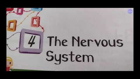 science-class-5-The-Nervous-system-ch-4-part-3