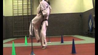 controle 29 utsuri goshi
