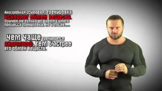 Тренировки для похудения Как тренироваться эндоморфам Тренировки для похудения Как тренироваться эндоморфам