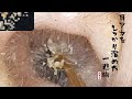 【耳掃除】#50 耳かき 〜耳垢大量収穫祭〜