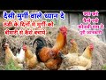 ठंडी के मौसम मे देसी मुर्गी को बीमारी से कैसे बचाये | desi poultry farming