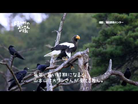 【BBC放送作品】アミンチュ劇場(12/23)