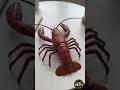 Mechanical Lobster Transformer 🦞 | Tiny Pod Becomes a Robotic Sea Beast #shorts