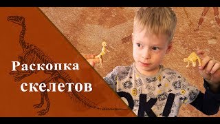 Раскопки динозавров. Скелеты динозавров. Палеонтологический набор. Детская археология.