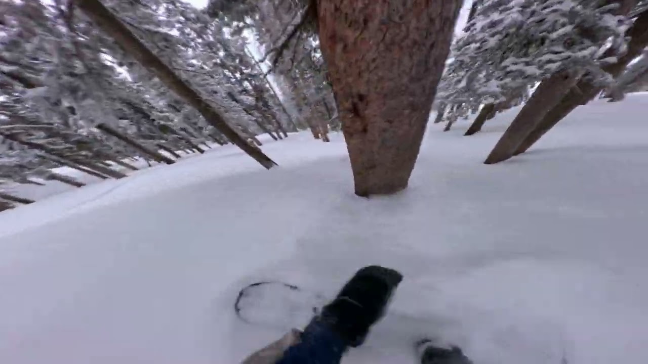 April Snow Storm in Arizona | Snowboarding Trees at Snowbowl
