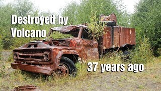 What I found on Mt. St. Helens 37 years after the eruption