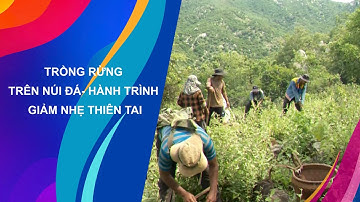 TRỒNG RỪNG TRÊN NÚI ĐÁ - HÀNH TRÌNH GIẢM NHẸ THIÊN TAI