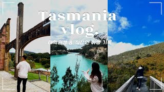 [🇦🇺VLOG] 시켜줘 타즈매니아 명예홍보대사... 3박 4일간의 타즈매니아 여행기 그 와중에 1일차 영상 날려먹음...😭