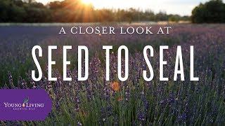 A Closer Look at Seed to Seal | Young Living Essential Oils