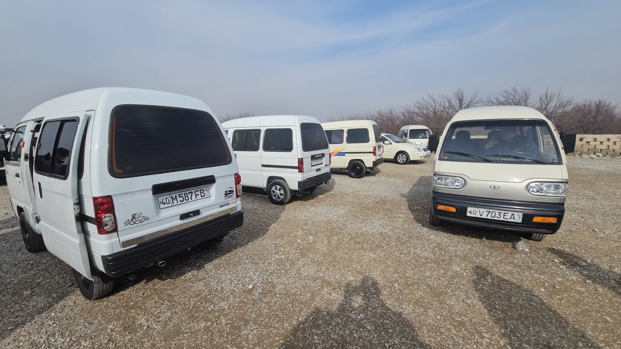 Laba van Damas 1 2 1600 $ 1800 $