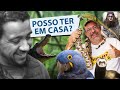 QUAIS ANIMAIS POSSO CRIAR NO BRASIL? - Ft. Sérgio Rangel | Parte 1/2