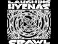 Laughing hyenas  living in darkness studio