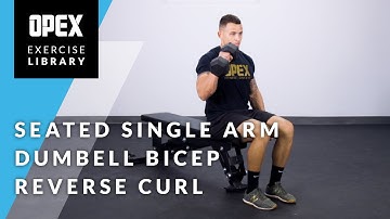 Seated Single Arm Dumbbell Bicep Reverse Curl - OPEX Exercise Library