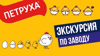 Экскурсия по заводу ПЕТРУХА