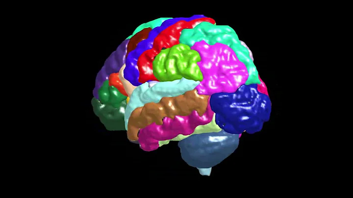 Tracking regional brain growth in babies born pret...