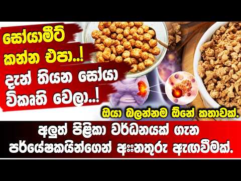 සෝයාමීට් කන්න එපා..! අලුත් පිළිකා වර්ධනයක් ගැන පර්යේෂකයින්ගෙන් අ##නතුරු ඇඟවීමක්.
