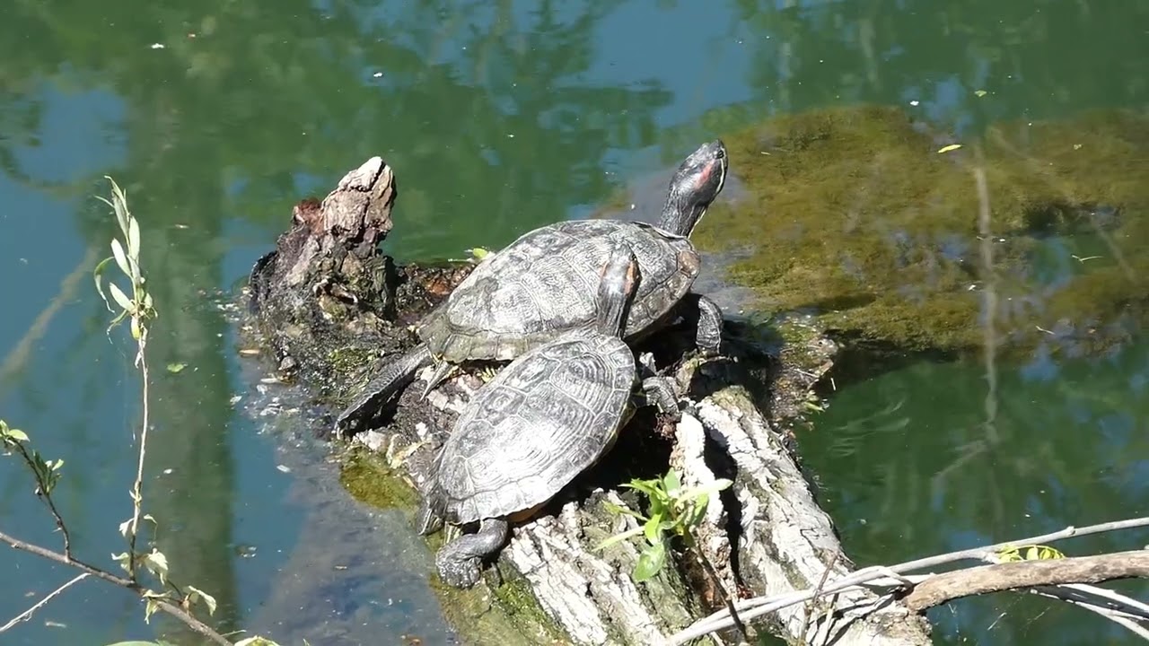 Balade en bord de Siagne - Alpes Maritimes