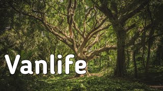 Simon More - Vanlife ( SHAmusic )