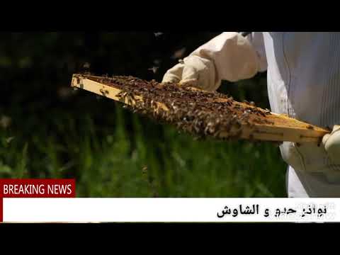 اغنية كلاسيكية روعة للمرحوم حدو و الشاوش و اوعبوزان و تولخرازت 03 