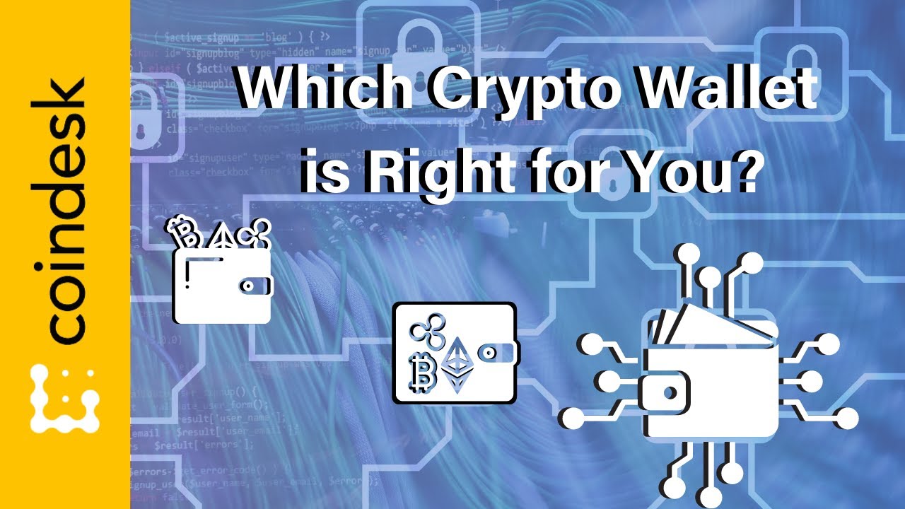Which Crypto Wallet Should You Choose