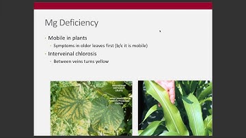 Week 10 - Calcium and Magnesium (ENR 5270)