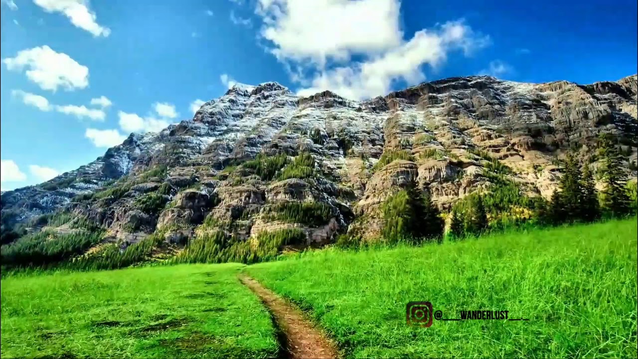 Nature 60 fps 4K Whatsapp Status Video