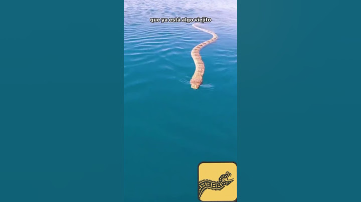 la serpiente Marina.