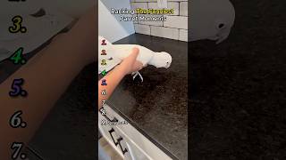 The Top 10 Funniest Parrots.