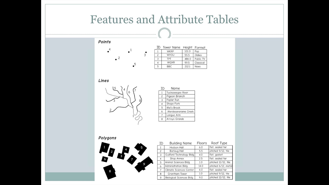 How Gis Data Is Organized