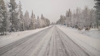 Arctic Bus Driver (Live From Lapland, Finland)