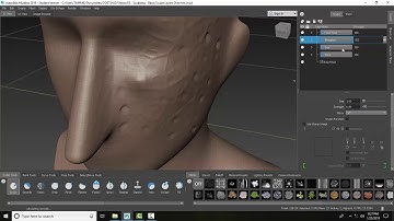 Mudbox 03 28 Amplify   Reduce or Invert Sculpting on a Layer