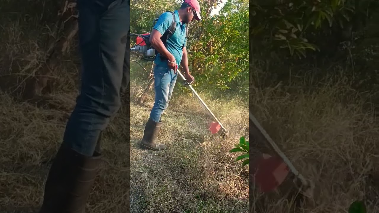 Back Pack Brush Cutter/ Grass Trimmer (4 Stroke)