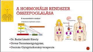 rezorcinol condyloma esetén)