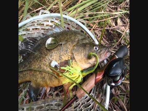 Gangster Lures Froggers