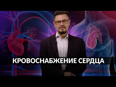 АНАТОМИЯ СЕРДЦА - КРОВОСНАБЖЕНИЕ