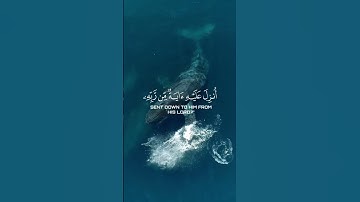 تلاوة خاشعة بصوت القآرئ:#عبدالرحمن_مسعد #قرآن #quran #راحة_نفسية #قران_كريم #اكسبلور #fypage #لايك