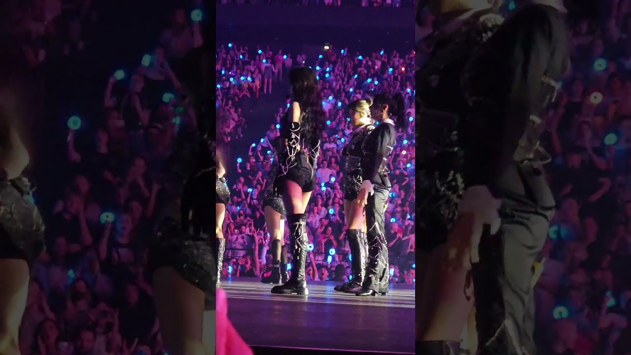 pov : you got a VIP ticket to a TWICE concert in Paris and Mina kills you 