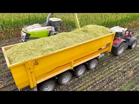 Henry Righton - Silage 2024