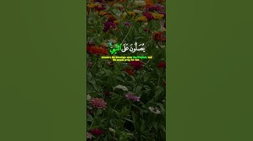 إِنَّ ٱللَّهَ وَمَلَـٰٓئِكَتَهُۥ يُصَلُّونَ عَلَى ٱلنَّبِىِّ ۚ || القارئ اسلام صبحي #quran #قرآن