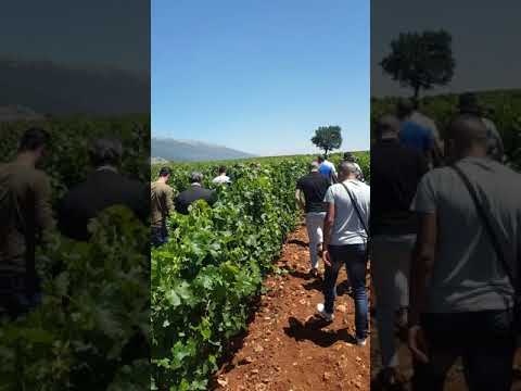      8 البقاع الغربي