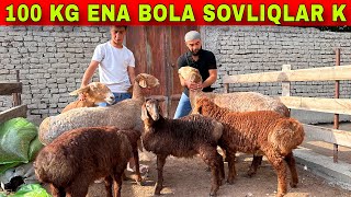 ARASHAN ENA BOLA SOVLIQLARNI ZORLARI KELDI