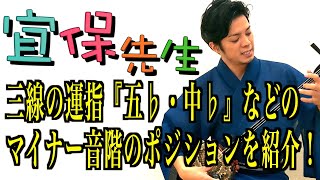 三線初心者必見！第23回【三線の師範が教える】三線の運指『五♭・中♭』などのマイナー音階のポジションを紹介！