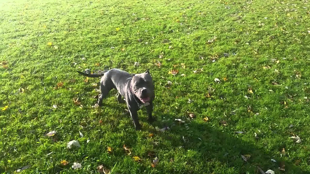 Looking for that rabbit 