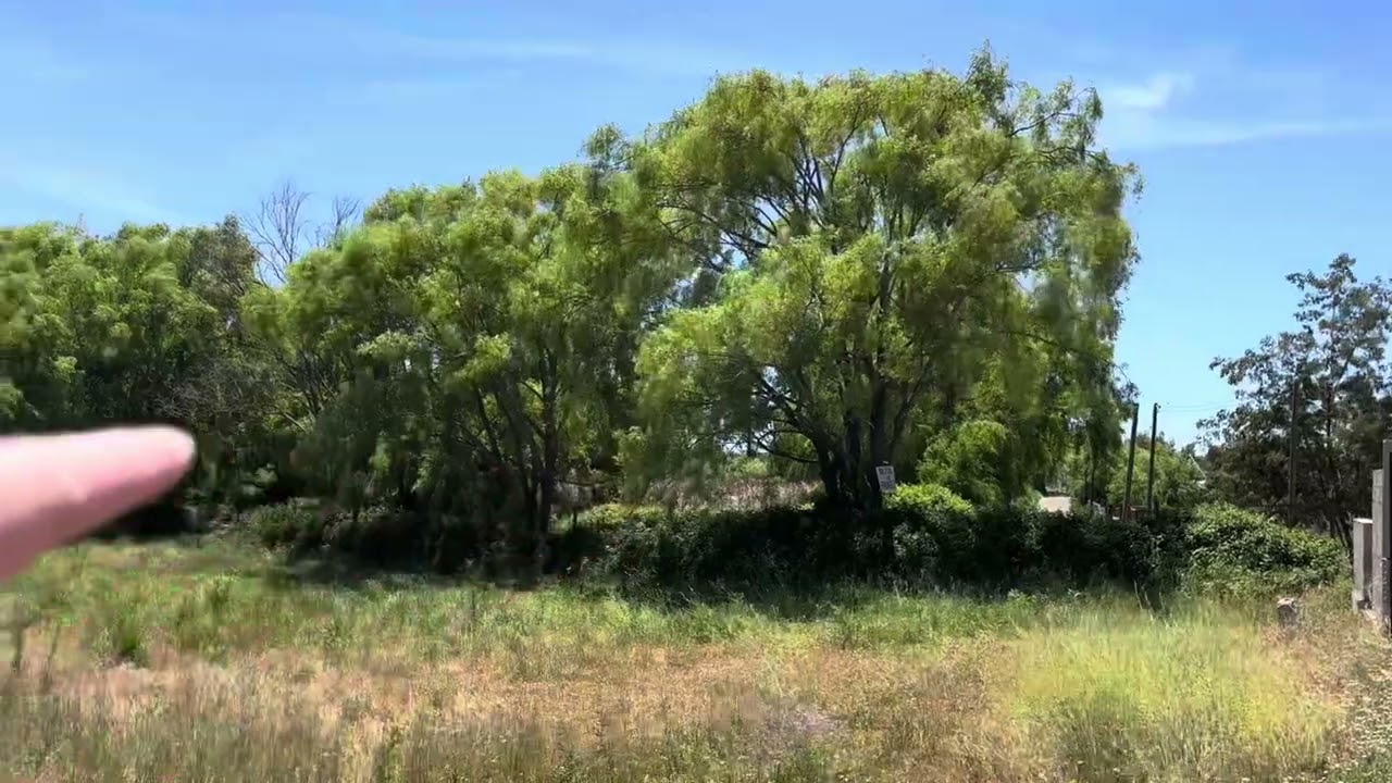 Venta de Parcelas en la Séptima Región, del Maule, Chile. Compra en Reserva SAN Rafael.